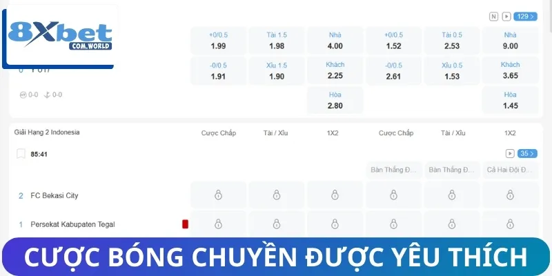 Những lý do để cược bóng chuyền được anh em yêu thích