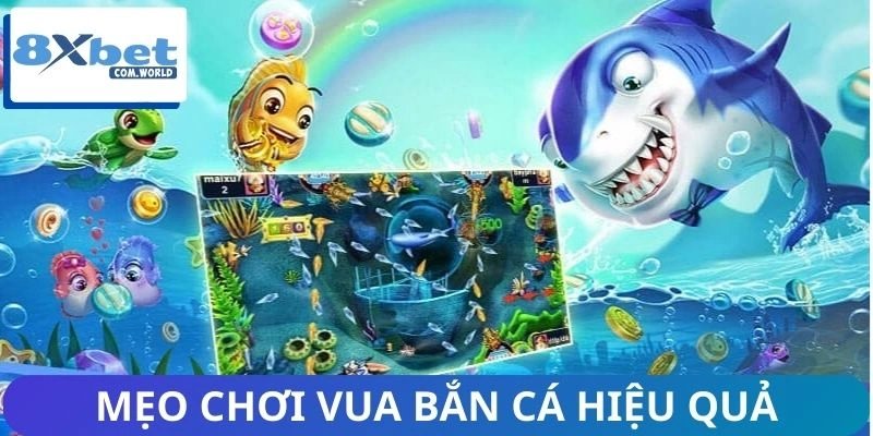 Kinh nghiệm chinh phục hình thức vua săn cá