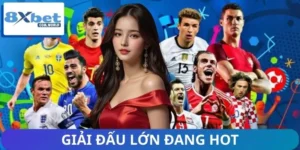 Những Giải Đấu Lớn Đang Hot Trên 8XBET - Thông Tin Mới Nhất