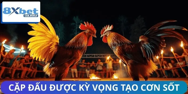 Mãn nhãn với những cặp đấu danh giá